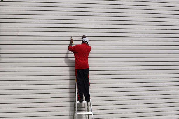Best Vinyl Siding Installation  in Bensley, VA